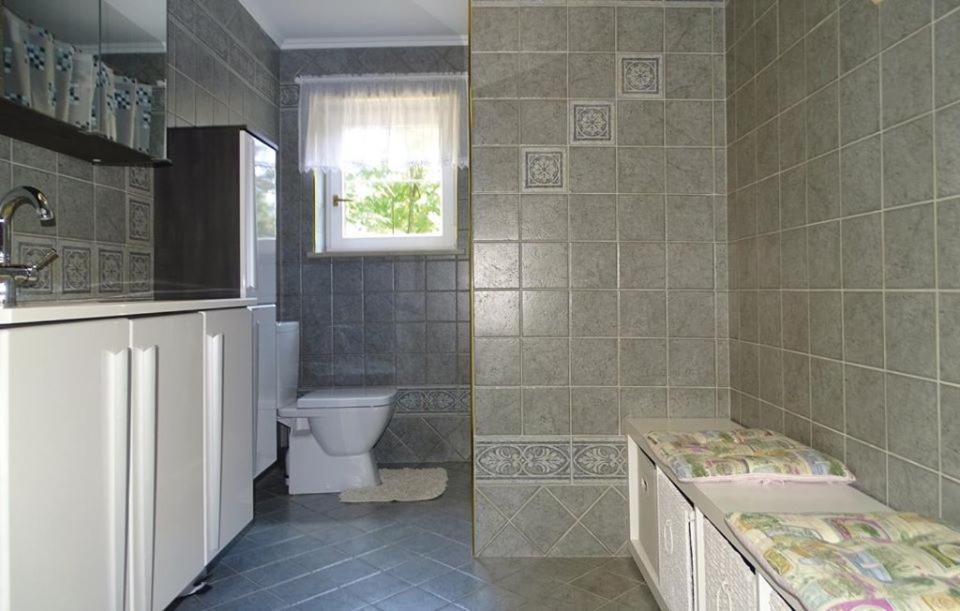 Apartmaji Cujez Recica ob Savinji ภายนอก รูปภาพ